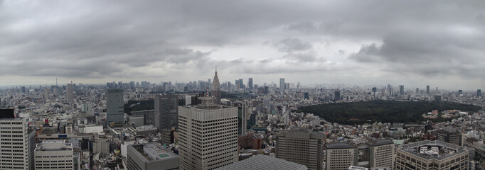 Aerial panorama of Tokyo, Japan