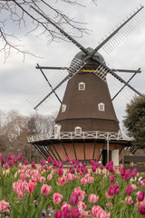 Funabashi Andersen Park in January