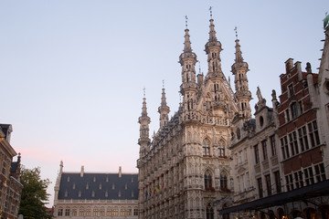 Fototapeta na wymiar City Hall Leuven