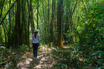 alone woman is travel in forest