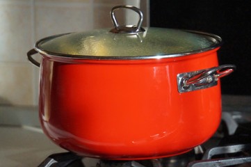 Red pot, cooking home view