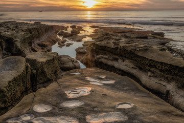 Diverse Beauty Graces the California Coast
