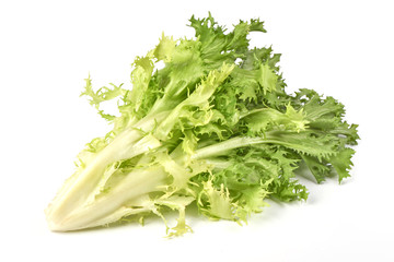 Fresh Frisee lettuce. Crispy endive. Close-up, isolated on white background.