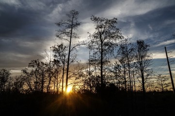 sunset in the Louisiana Swamp