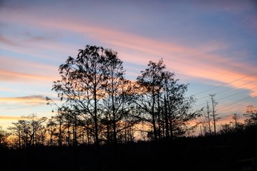 Fototapeta na wymiar sunset in the Louisiana Swamp