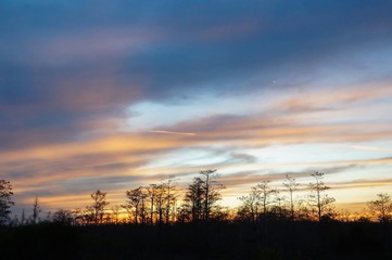sunset in the Louisiana Swamp