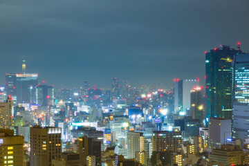 Tokyo City at night.