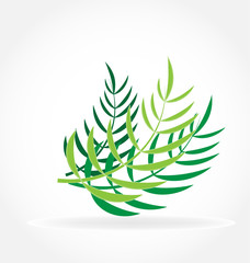 Tropical palm leafs vector