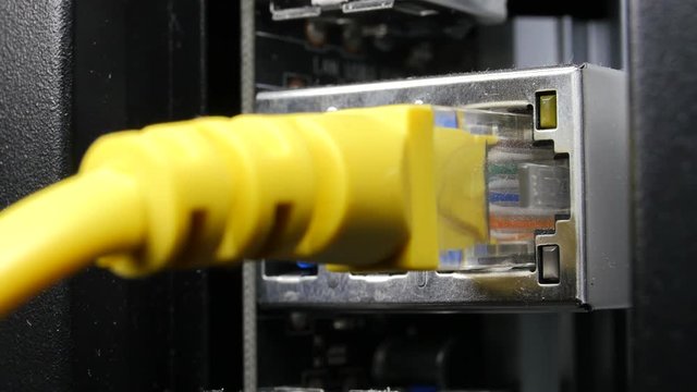 Ethernet Cable Plug In Plug Out Macro Closeup