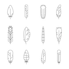 Feathers types outline icons vector set.
