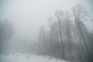 Obraz na płótnie Canvas Nature covered in snow during deep winter. Slovakia