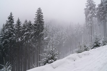Nature covered in snow during deep winter. Slovakia