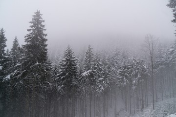 Fototapeta na wymiar Nature covered in snow during deep winter. Slovakia