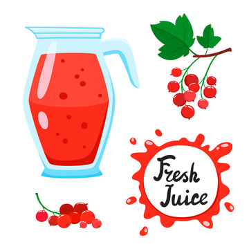 Juice with Red currants in glass jug, vector cartoon card