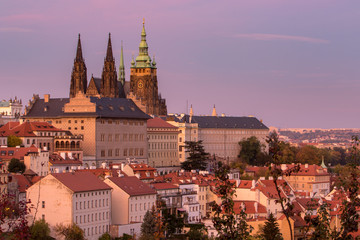 Obraz premium Old Prague houses and St. Vitus Cathedral, view from Petrin hill in Prague, Czech Republic