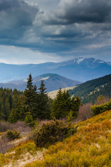 Idyllic landscape in the spring mountains at sunshine. View of the snow-covered mountain peaks in the distance.