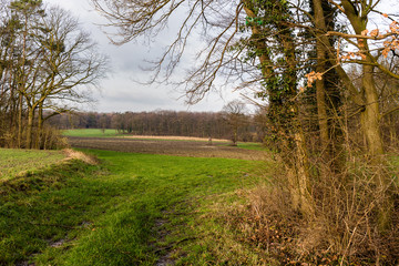 autumn meadow agriculture