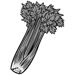 Celery Illustration - A vector cartoon illustration of some garden fresh Celery.