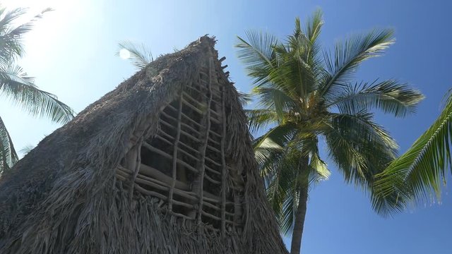 A primitive thatched hut in the tropics