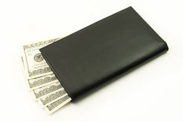 Dollars in fashionable purse. One hundred bills. Cash, fan of money