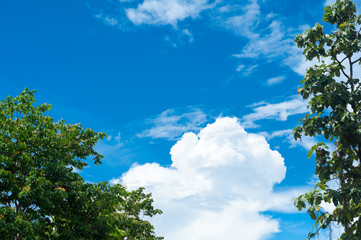 Blue sky