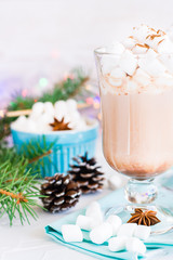 Hot cocoa with marshmallow and ground cinnamon in a glass