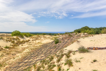 Dunes of the Curonian Spit. Kaliningrad. Russia.