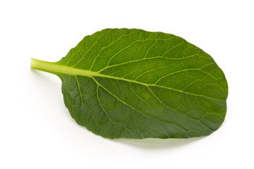 Spinach leaves close up isolated on white.