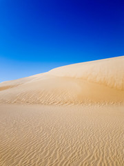 Desert sand in Saudi Arabia