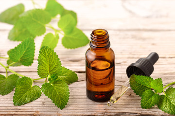 lemon balm essential oil in the bottle, with fresh leaves