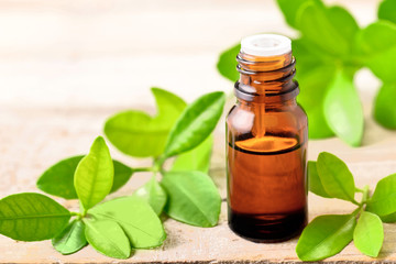 bitter orange leaf essential oil and fresh leaves