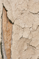 Adobe Mud Wall