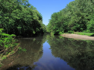 Fototapeta premium Pond or River Reflections - Seasonal summer scene with green trees reflecting in a blue river.