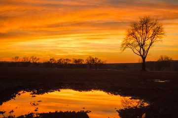 Obraz premium sunset over the field and the meadow