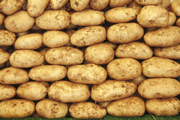 Raw Potatoes For Sale At Market