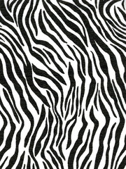 Search photos zebras