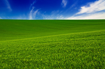 Abstract natural idyllic background with green grass and cloudy blue sky