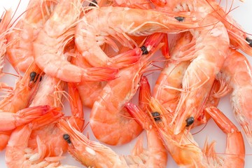 Pile of Cooked Prawns or Tiger Shrimps