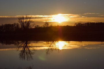 winter landscape with a rich snowflake