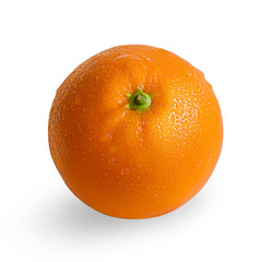 Wet orange isolated on white background. Orange in drops of water
