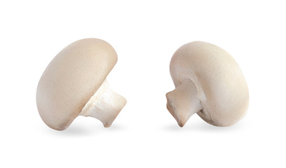 Fototapeta na wymiar Two white champignons isolated. Whole fresh mushrooms on a white background