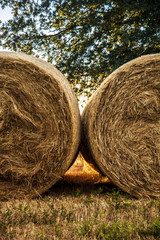 hay bales