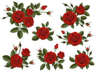 Red rose boutonniere. Set for floral design of a greeting, wedding or invitation card. Bouquet of decorative garden flower. Bud, petals and leaves of plant. - obrazy, fototapety, plakaty