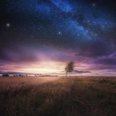 Beautiful landscape with field under sky with starrs