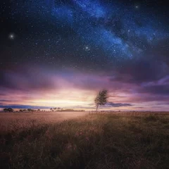 Foto op Canvas Prachtig landschap met veld onder de hemel met sterren © milosz_g