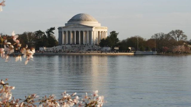 close view of the jefferson memorial and cherry blossoms on a calm spring afternoon in washington d.c.