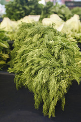 Dill at the market place. Istanbul Market.