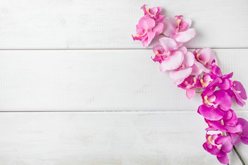 Artificial orchids on white wooden background.
