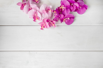 Artificial orchids on white wooden background.