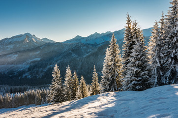 Fototapeta premium Winter mountain landscape, Tatra mountains, morning
